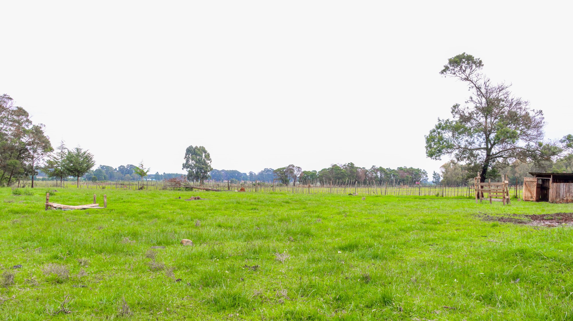 AdelaidecreekeldoretbySIClandforsale