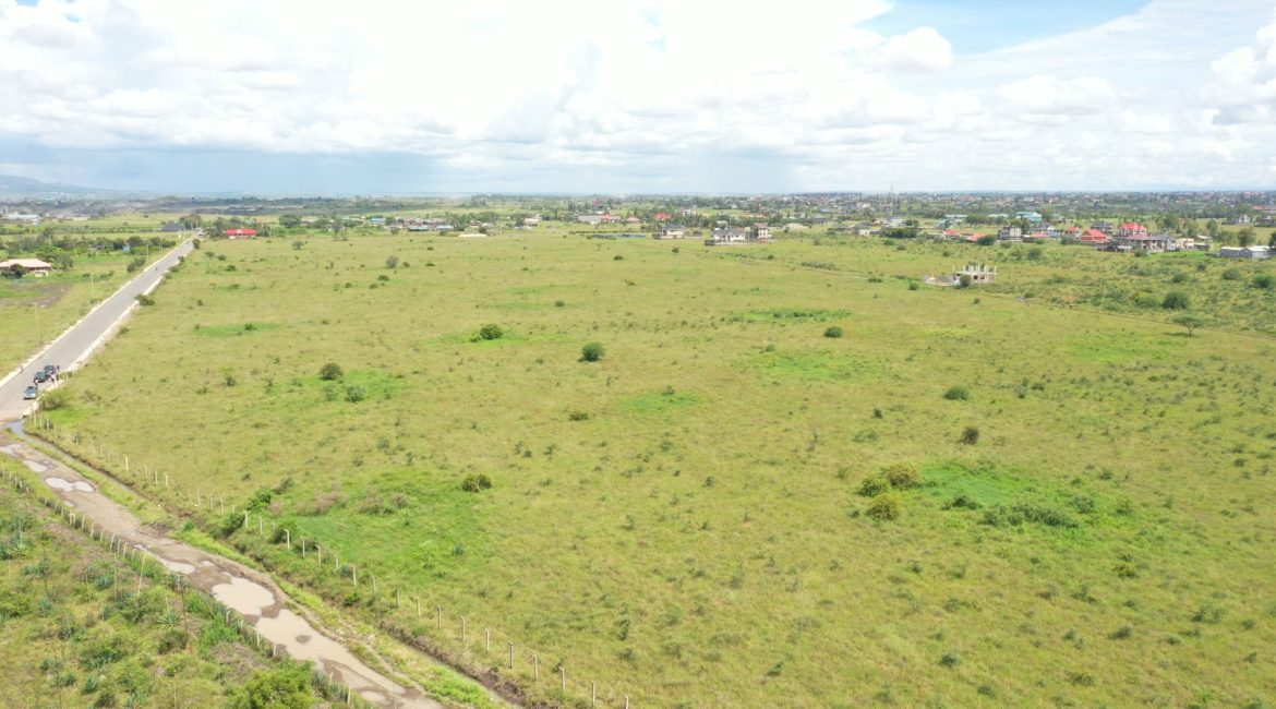 kijani-plains-katani