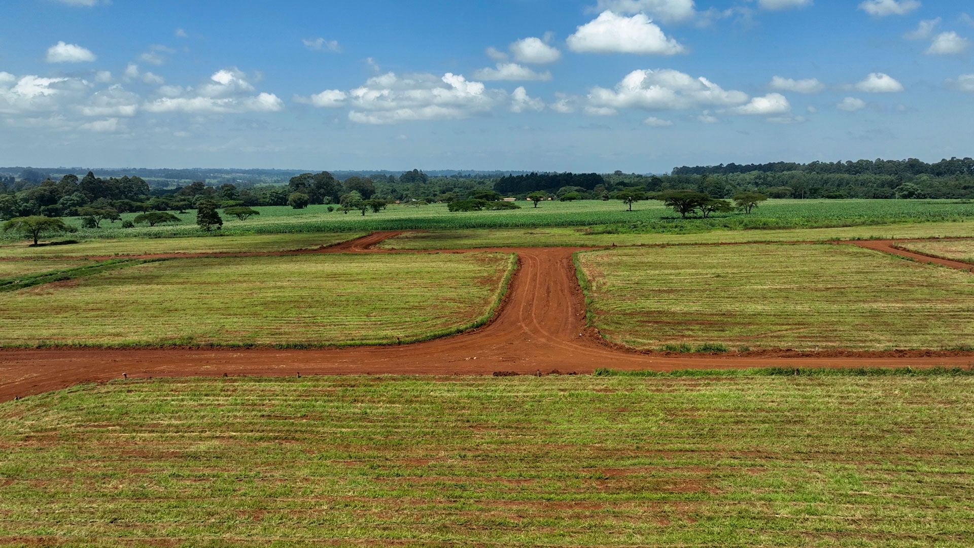 Forest-Hill-Kitale-eighth-acre-land-4