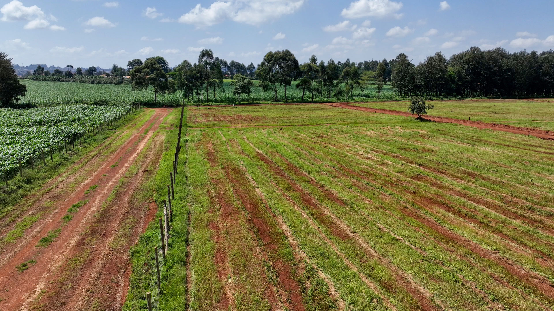 Forest-Hill-Kitale-eighth-acre-land-5